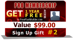 Flash Builder