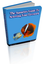 Salt Water Livestock Selection