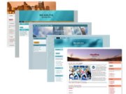 100 Exclusive Wordpress Themes Vol.4