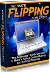 Website Flipping For Cash