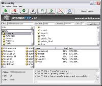 Atomic FTP