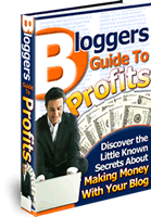 Bloggers Guide To Profits