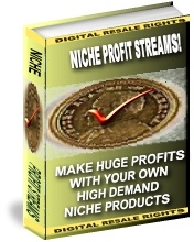 Niche Profit Streams