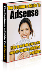 The Beginners Guide To Adsense™