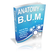 Anatomy Of A B.U.M.