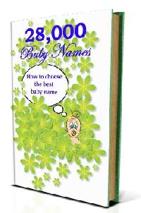 28,000 Baby Names