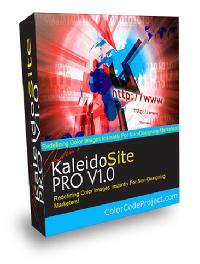 Kaleido Site Pro