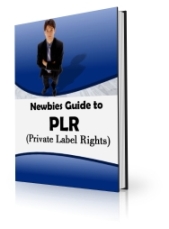 Newbies Guide To PLR