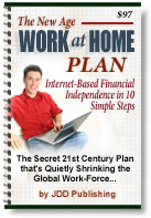 New Age Work At Home Plan