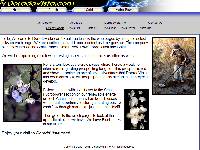 click to see actual size image