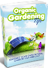 Organic Gardening Tips