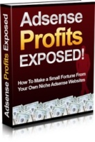 Adsense Profits Exposed