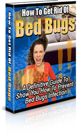 A Definitive Guide To Show You How To Prevent Bed Bugs Infec