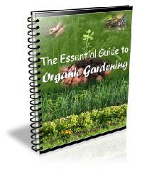 The Essential Guide to Organic Gardening