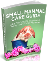 Small Mammal Care Guide