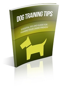 dogtraining