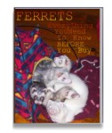 ferrets